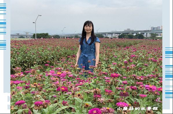 109.5.1.(34)新北大都會公園.JPG