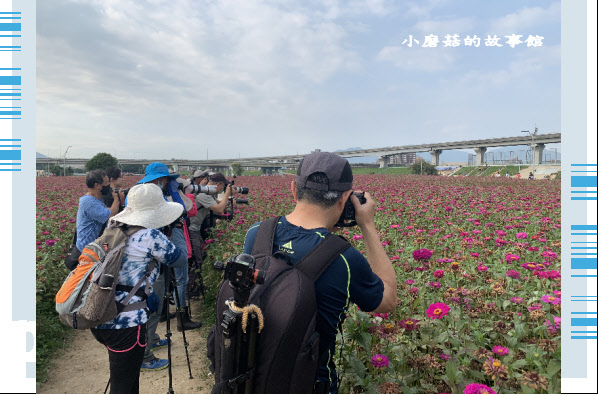 109.5.1.(45)新北大都會公園.JPG