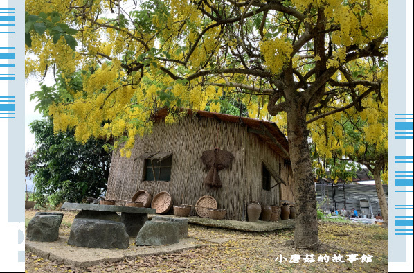 109.6.6.(15)台南白河-大山宮古厝阿勃勒.JPG