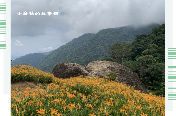 109.9.5.(87)花蓮-赤柯山金針花海.JPG