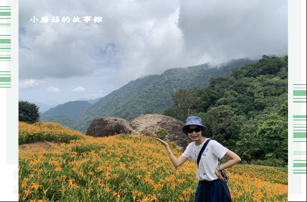 109.9.5.(94)花蓮-赤柯山金針花海.JPG