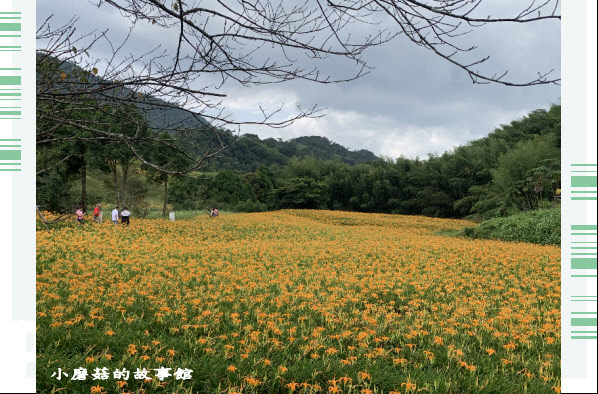 109.9.5.(112)花蓮-赤柯山金針花海.JPG