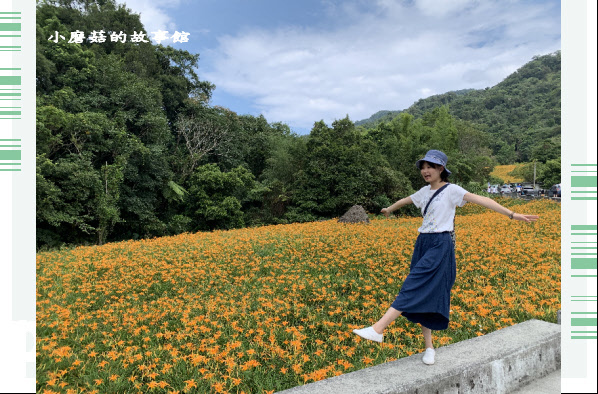 109.9.5.(115)花蓮-赤柯山金針花海.JPG