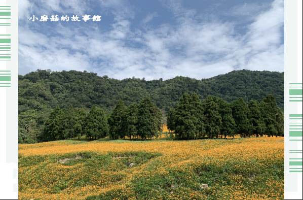 109.9.5.(129)花蓮-赤柯山金針花海.JPG