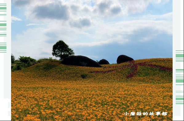 109.9.5.(224)花蓮-赤柯山金針花海.JPG