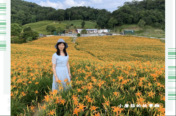 109.9.5.(243)花蓮-赤柯山金針花海.JPG