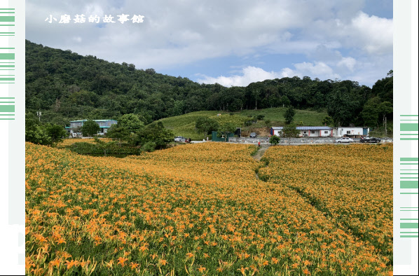 109.9.5.(246)花蓮-赤柯山金針花海.JPG