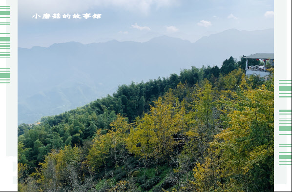 109.9.18.(92)武岫農圃-銀杏林觀景步道.JPG