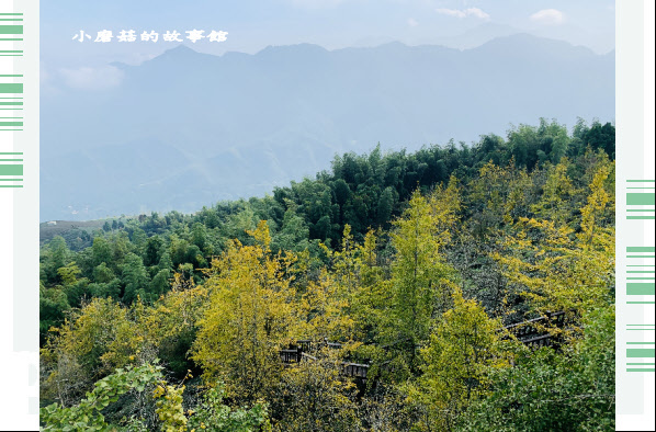 109.9.18.(96)武岫農圃-銀杏林觀景步道.JPG