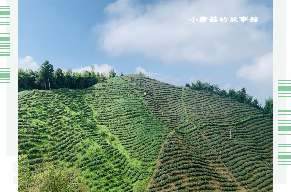 109.9.18.(29)大崙山觀景台.JPG