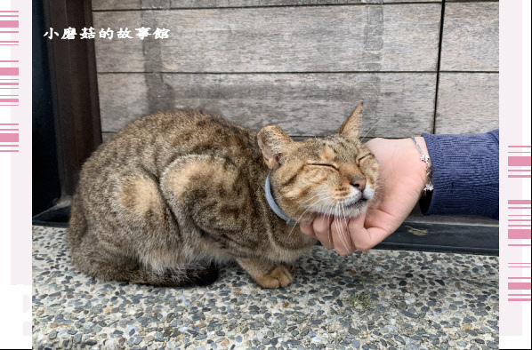 109.10.25.(25)猴硐貓村.JPG