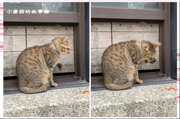 109.10.25.(26)猴硐貓村.JPG