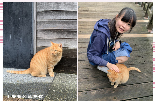 109.10.25.(28)猴硐貓村.JPG