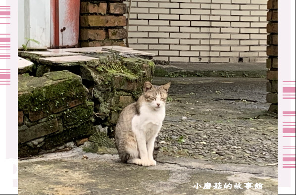 109.10.25.(38)猴硐貓村.JPG