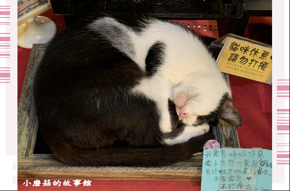 109.10.25.(52)猴硐貓村.JPG