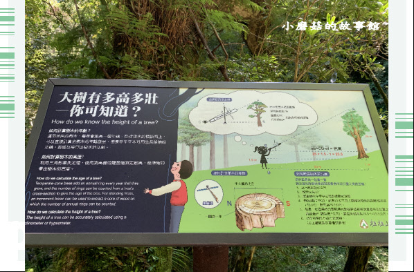 109.7.12.(48)拉拉山巨木群步道.JPG