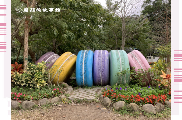 109.12.30.(105)苗栗南庒雲水溫泉渡假村.JPG