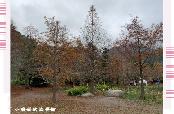 109.12.30.(121)苗栗南庒雲水溫泉渡假村.JPG