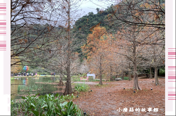 109.12.30.(128)苗栗南庒雲水溫泉渡假村.JPG