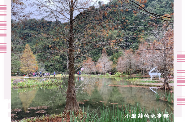 109.12.30.(129)苗栗南庒雲水溫泉渡假村.JPG