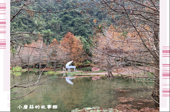 109.12.30.(130)苗栗南庒雲水溫泉渡假村.JPG