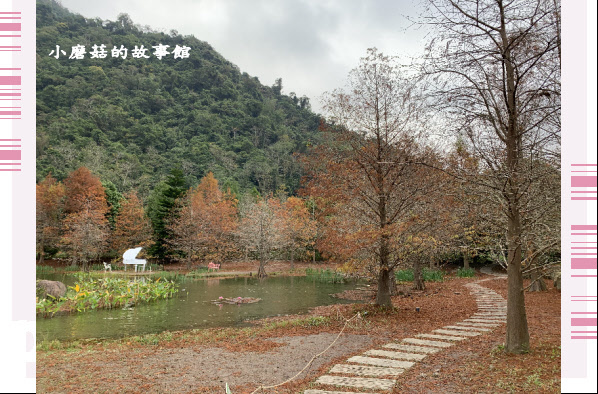 109.12.30.(140)苗栗南庒雲水溫泉渡假村.JPG