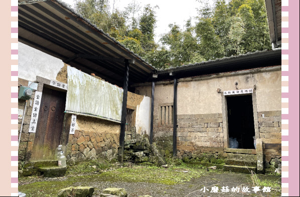 110.2.28.(11)貓空-樟樹步道‧魯冰花+阿義師創意茶餐廳.JPG