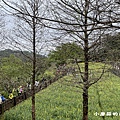 110.2.28.(19)貓空-樟樹步道‧魯冰花+阿義師創意茶餐廳.JPG