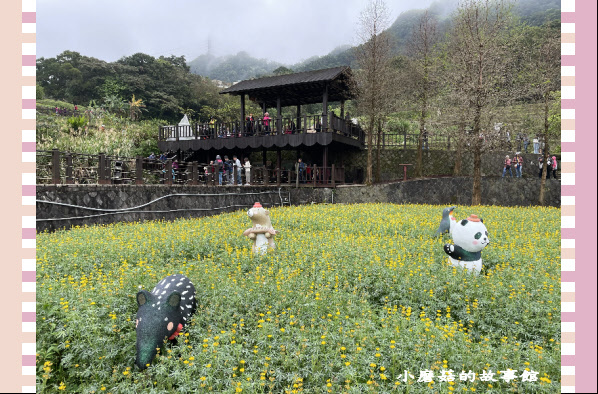 110.2.28.(20)貓空-樟樹步道‧魯冰花+阿義師創意茶餐廳.JPG