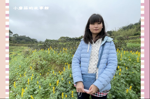 110.2.28.(48)貓空-樟樹步道‧魯冰花+阿義師創意茶餐廳.JPG