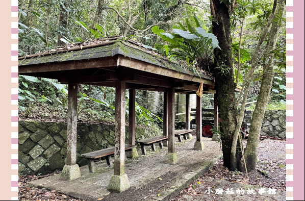 110.2.28.(57)貓空-樟樹步道‧魯冰花+阿義師創意茶餐廳.JPG