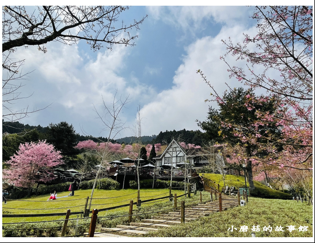 111.3.3.(179)新竹五峰-山上人家森林農場(櫻花季).JPG