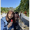 111.1.15.(41)苗栗大湖-紅色琉璃瓦.JPG