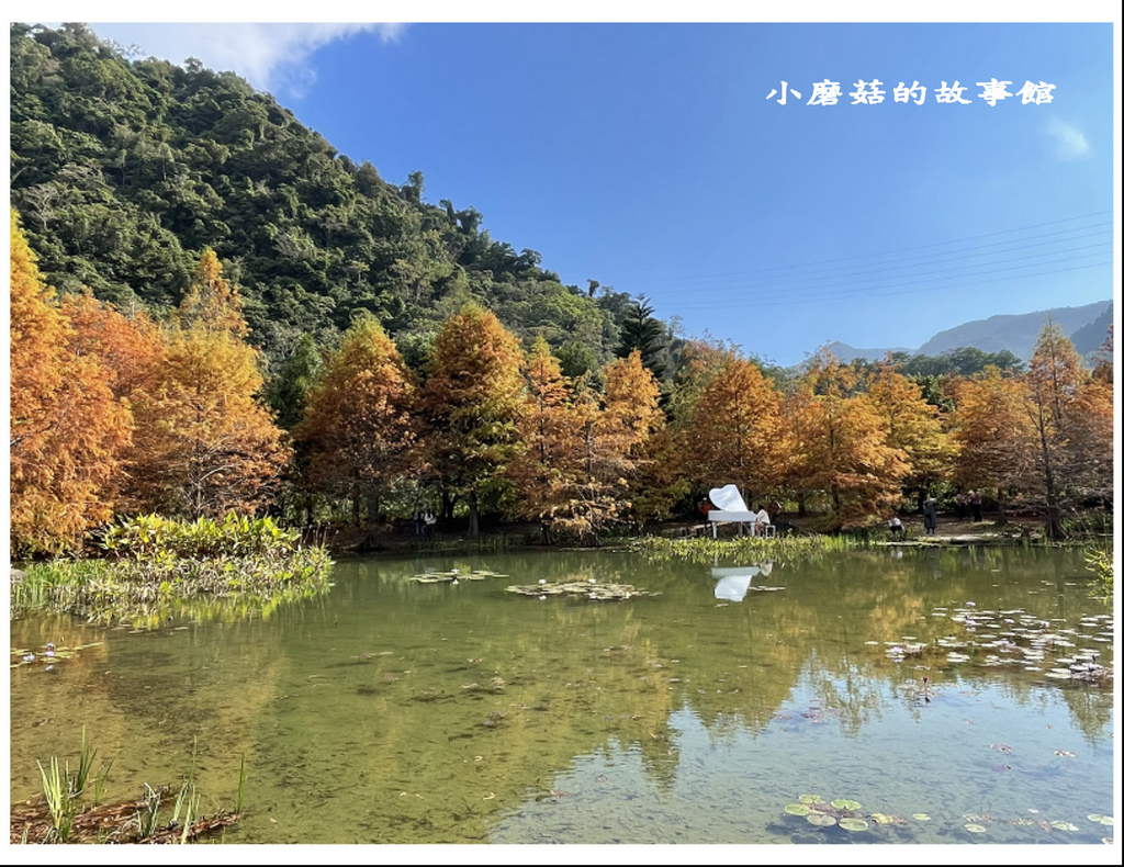 110.12.12.(35)苗栗南庄-雲水度假森林.JPG