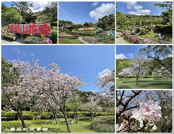 111.3.20.(133)台北-陽明山國家公園‧花季.JPG