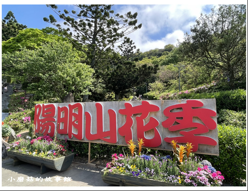 111.3.20.(35)台北-陽明山國家公園‧花季.JPG