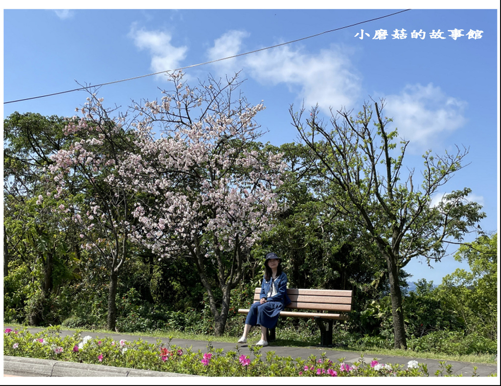 111.3.20.(50)台北-陽明山國家公園‧花季.JPG