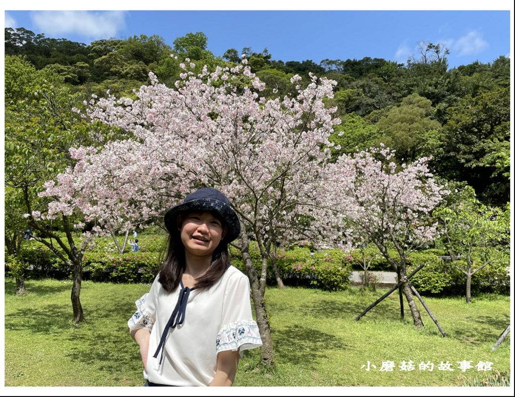 111.3.20.(104)台北-陽明山國家公園‧花季.JPG