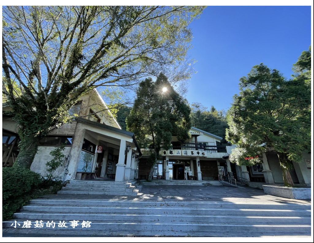 111.8.31.(3)東眼山國家森林遊樂區(自導式步道).JPG