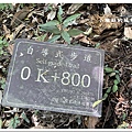 111.8.31.(48)東眼山國家森林遊樂區(自導式步道).JPG