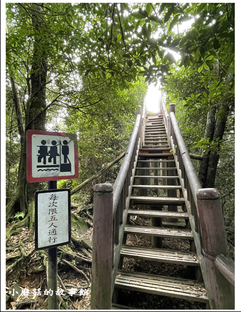 111.8.31.(91)東眼山國家森林遊樂區(自導式步道).JPG