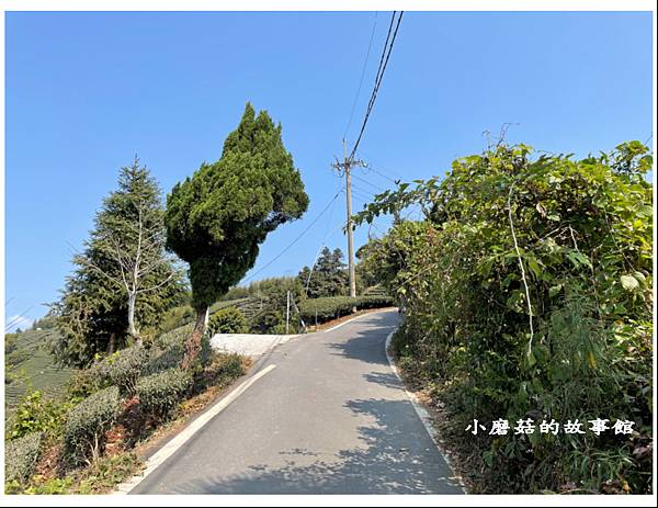 112.3.19.(5)嘉義瑞峰-海鼠山1314觀景平台.JPG