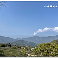 112.3.19.(7)嘉義瑞峰-海鼠山1314觀景平台.JPG