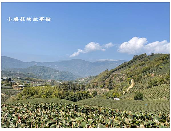112.3.19.(8)嘉義瑞峰-海鼠山1314觀景平台.JPG