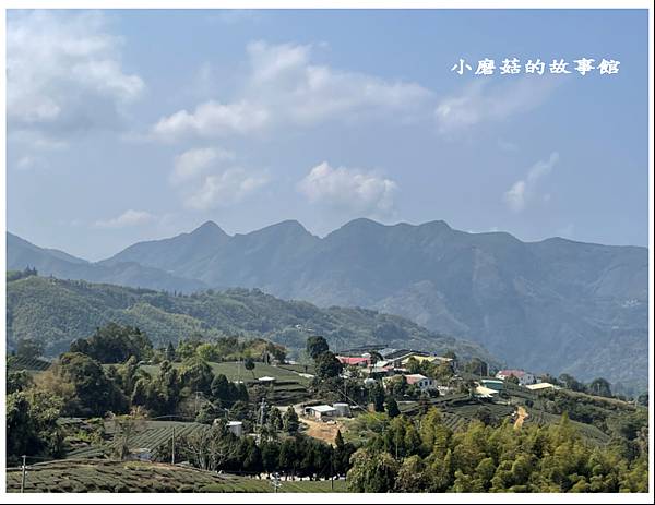 112.3.19.(24)嘉義瑞峰-海鼠山1314觀景平台.JPG