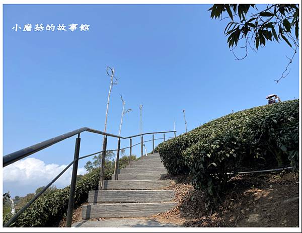 112.3.19.(31)嘉義瑞峰-海鼠山1314觀景平台.JPG