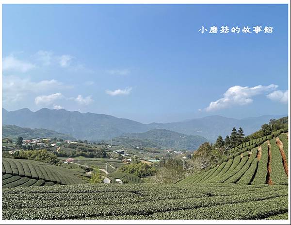 112.3.19.(57)嘉義瑞峰-海鼠山1314觀景平台.JPG