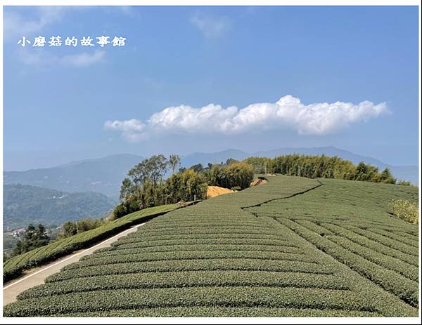 112.3.19.(96)嘉義瑞峰-海鼠山1314觀景平台.JPG