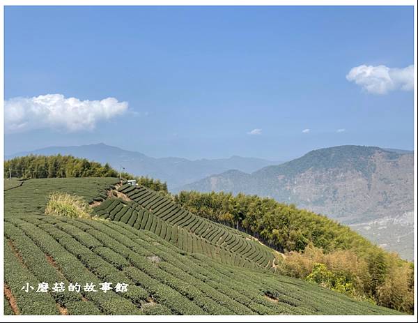 112.3.19.(103)嘉義瑞峰-海鼠山1314觀景平台.JPG