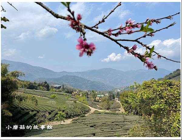 112.3.19.(155)嘉義瑞峰-海鼠山1314觀景平台.JPG